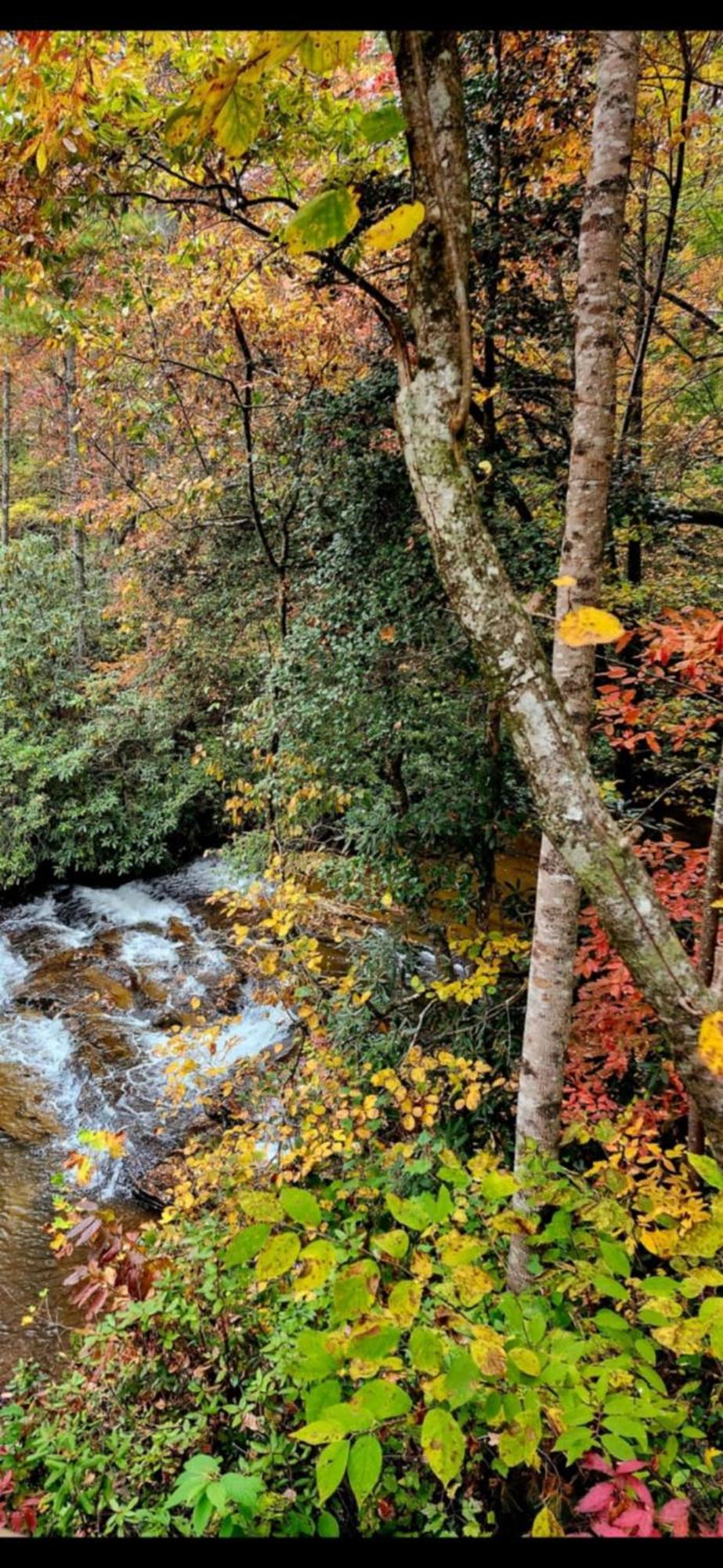 The Cascades Inn-Waterfall Retreat Tiger Extérieur photo